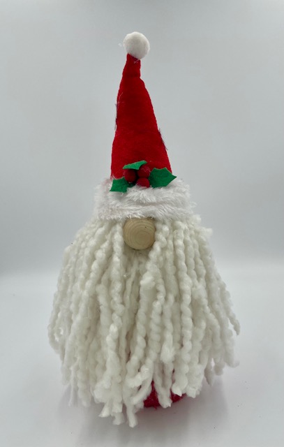 Santa Gnome